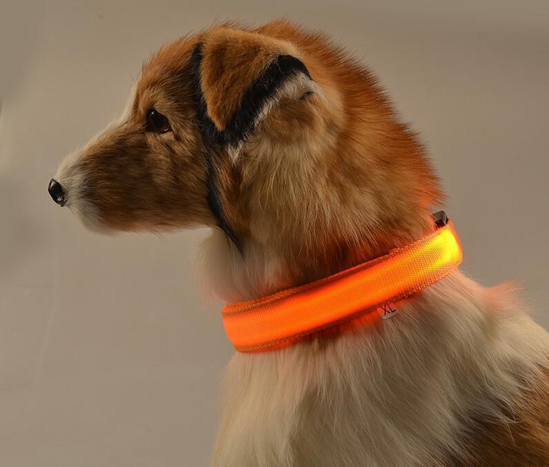 Night Safety Flashing Glow In The Dark Dog Collar