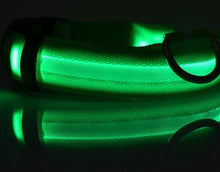 Load image into Gallery viewer, Night Safety Flashing Glow In The Dark Dog Collar