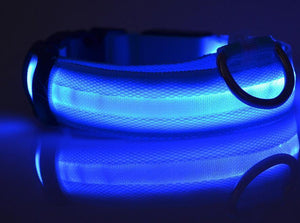 Night Safety Flashing Glow In The Dark Dog Collar