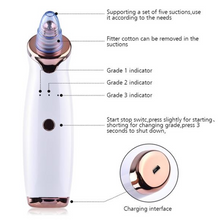 Load image into Gallery viewer, Facial Vacuum Cleaner