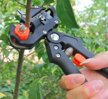 Load image into Gallery viewer, SimpleGrafter™ - Garden Grafting Tool